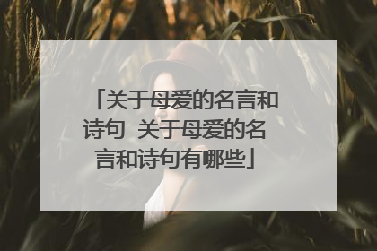 关于母爱的名言和诗句 关于母爱的名言和诗句有哪些