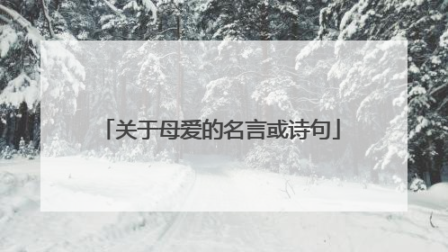 关于母爱的名言或诗句