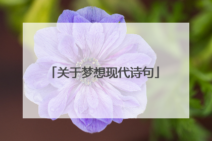 关于梦想现代诗句