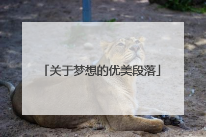 关于梦想的优美段落