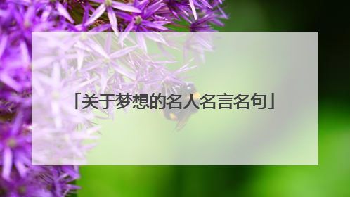 关于梦想的名人名言名句