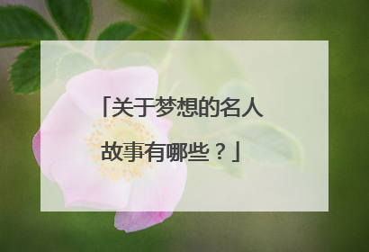 关于梦想的名人故事有哪些？