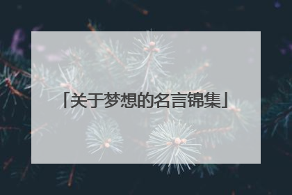 关于梦想的名言锦集