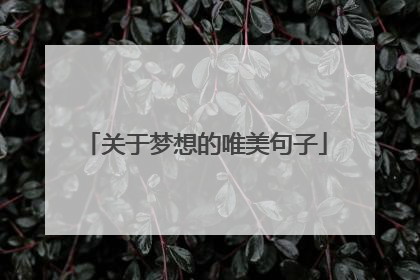 关于梦想的唯美句子