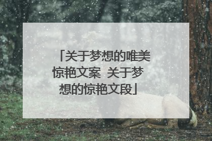 关于梦想的唯美惊艳文案 关于梦想的惊艳文段