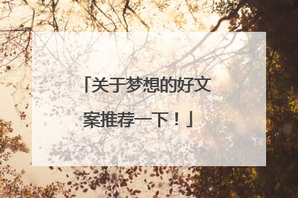 关于梦想的好文案推荐一下！
