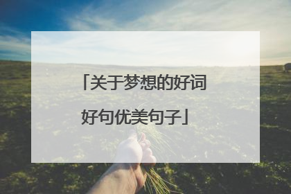 关于梦想的好词好句优美句子