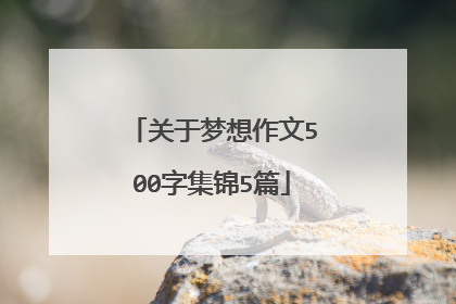 关于梦想作文500字集锦5篇
