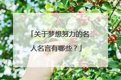 关于梦想努力的名人名言有哪些？