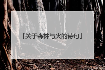 关于森林与火的诗句