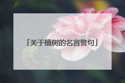 关于植树的名言警句