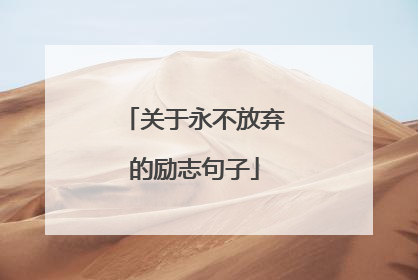 关于永不放弃的励志句子