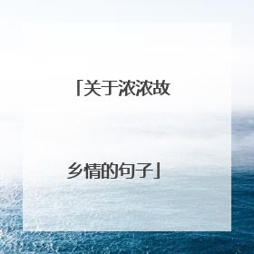 关于浓浓故乡情的句子