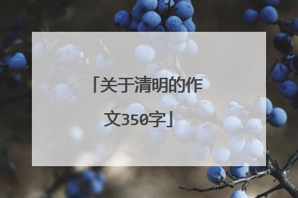 关于清明的作文350字