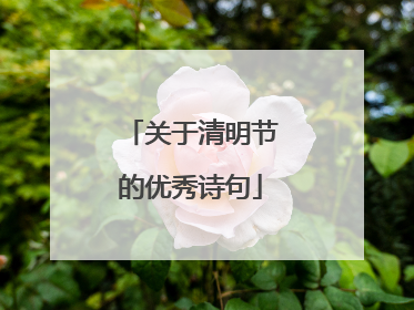 关于清明节的优秀诗句