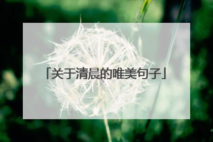 关于清晨的唯美句子