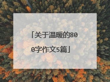 关于温暖的800字作文5篇