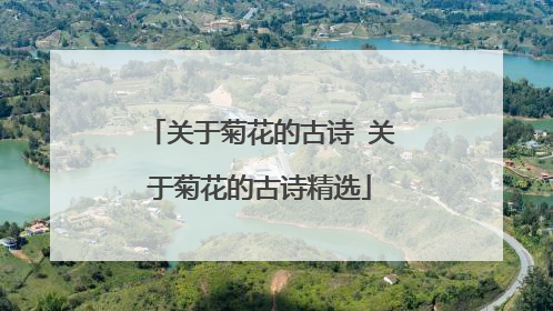 关于菊花的古诗 关于菊花的古诗精选
