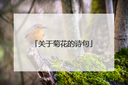 关于菊花的诗句