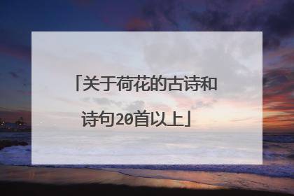 关于荷花的古诗和诗句20首以上