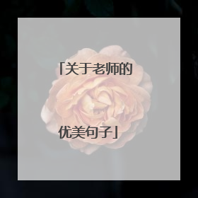 关于老师的优美句子