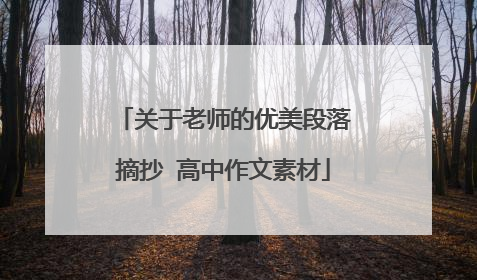 关于老师的优美段落摘抄 高中作文素材