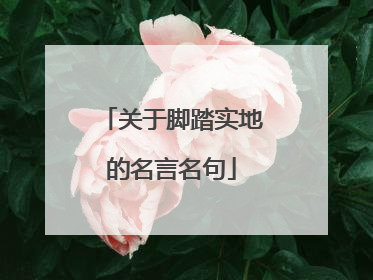 关于脚踏实地的名言名句