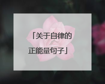 关于自律的正能量句子