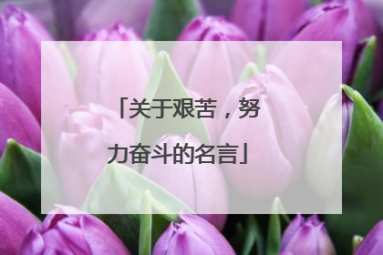 关于艰苦,努力奋斗的名言