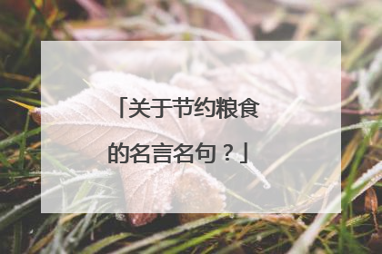 关于节约粮食的名言名句?
