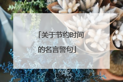 关于节约时间的名言警句