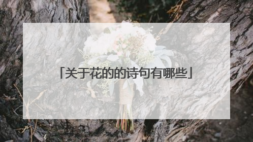 关于花的的诗句有哪些