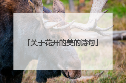 关于花开的美的诗句