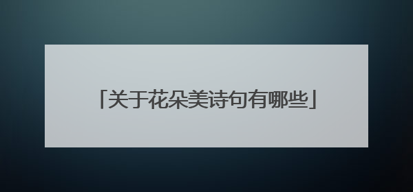 关于花朵美诗句有哪些