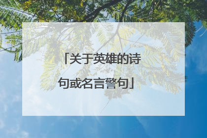 关于英雄的诗句或名言警句