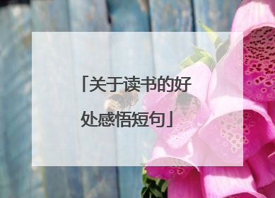 关于读书的好处感悟短句