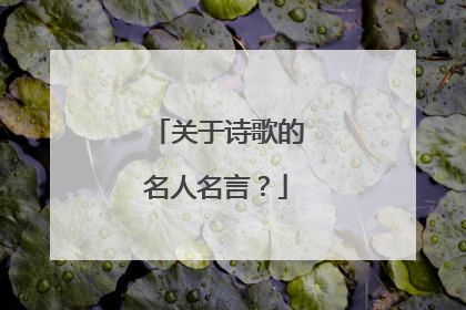 关于诗歌的名人名言？