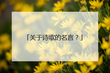 关于诗歌的名言？