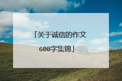 关于诚信的作文600字集锦