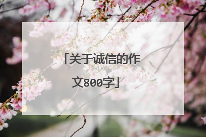 关于诚信的作文800字