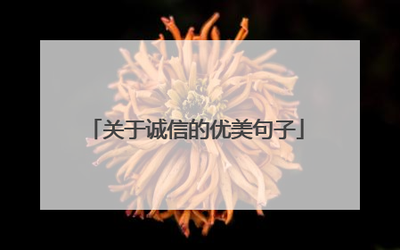 关于诚信的优美句子