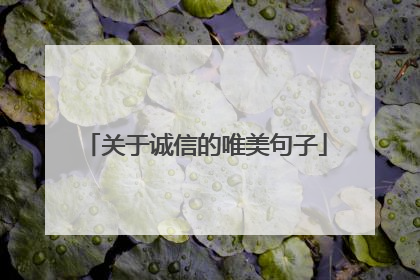 关于诚信的唯美句子