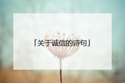 关于诚信的诗句