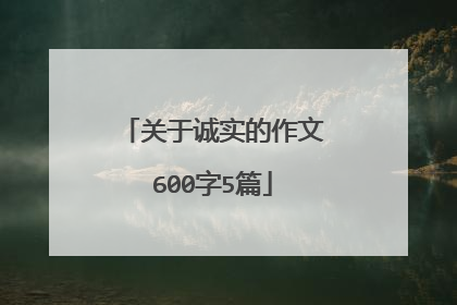 关于诚实的作文600字5篇