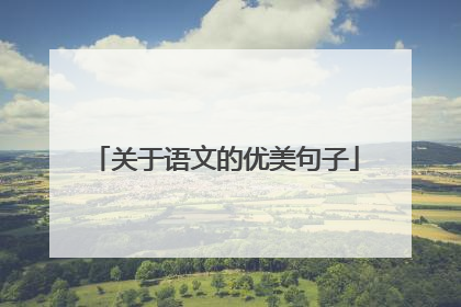 关于语文的优美句子