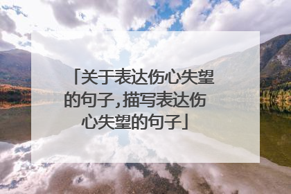 关于表达伤心失望的句子,描写表达伤心失望的句子