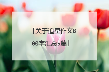 关于追星作文800字汇总5篇