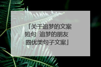 关于追梦的文案短句 追梦的朋友圈优美句子文案