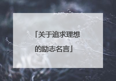 关于追求理想的励志名言