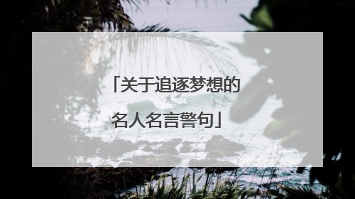 关于追逐梦想的名人名言警句